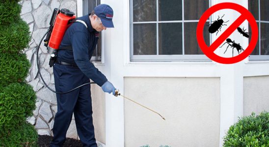 Doğanyol Kene İlaçlama böcek ilaçlama ve haşere kontrolü — ilaclama-tr.com